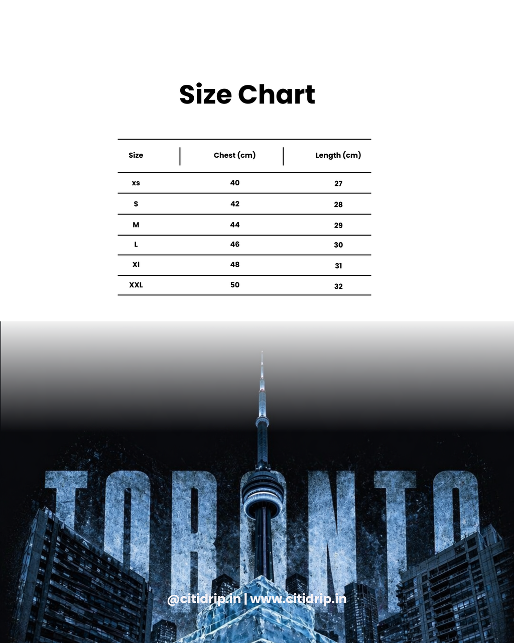 CITIDRIP Toronto Ice Tower Oversized Unisex Tee